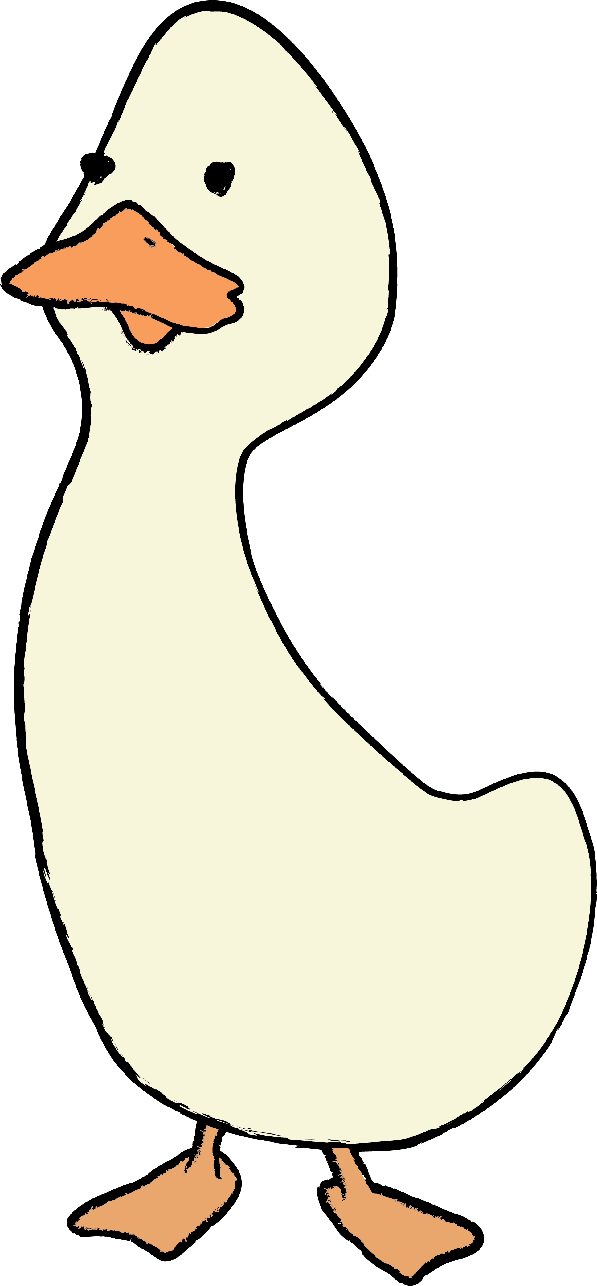 Pino the duck