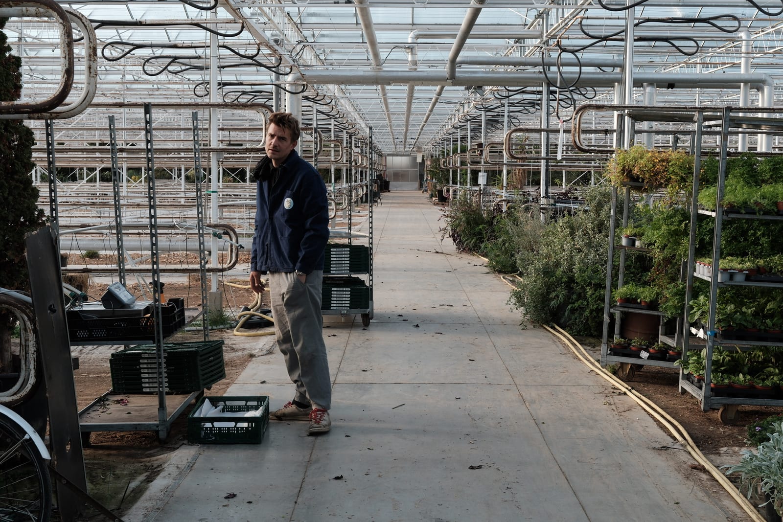 Greenhouse path with plants