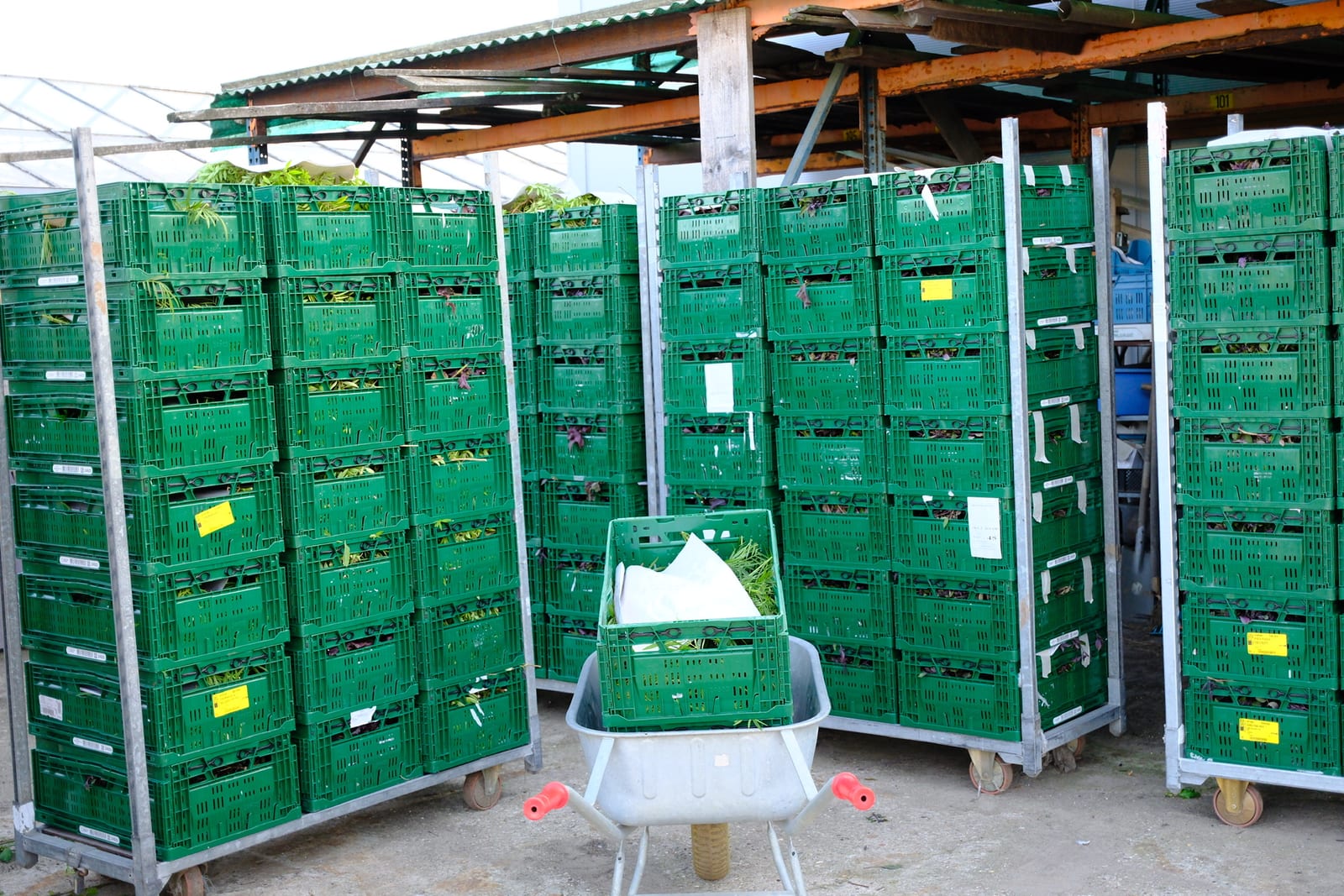 Stacked green harvest crates
